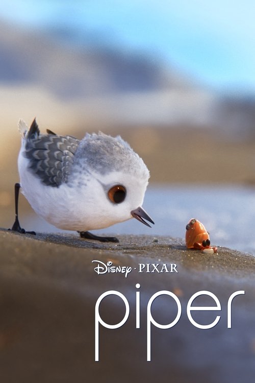 Piper (2016) Short