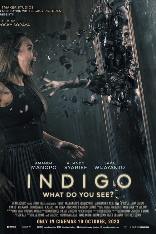 Indigo เธอเห็นอะไร (2023) บรรยายไทย