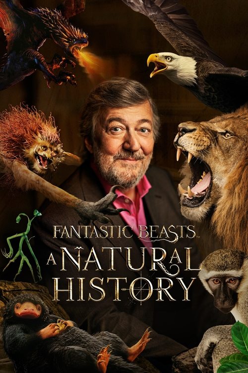 Fantastic Beasts: A Natural History (2022) บรรยายไทย