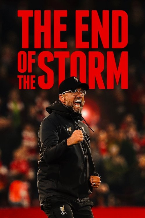 The End of the Storm (2020)