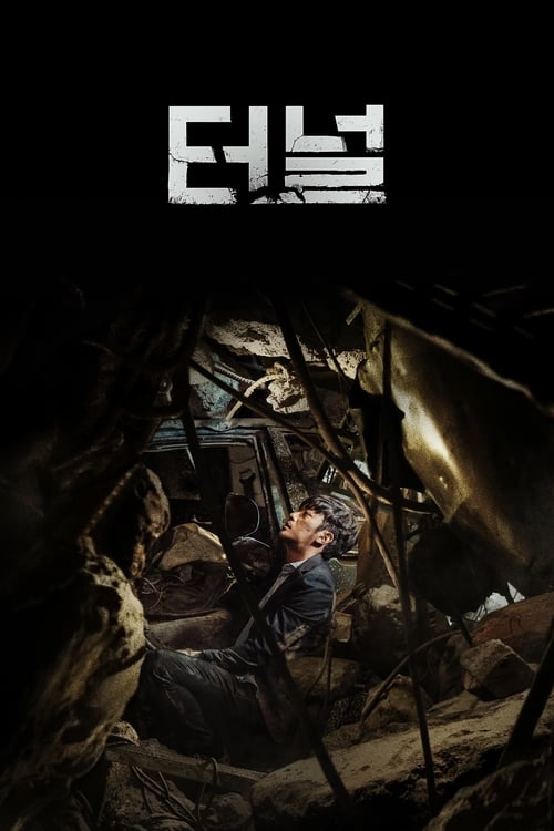 Tunnel (Teo-neol) อุโมงค์มรณะ (2016) บรรยายไทย