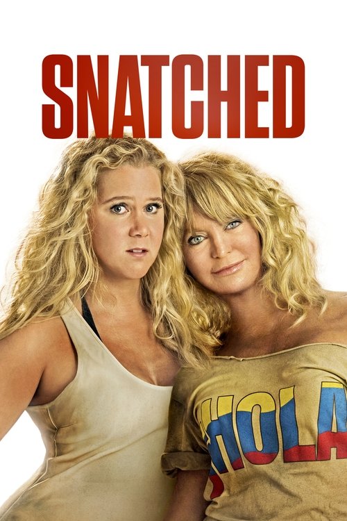 Snatched แม่...ลูก...ลุย (2017)