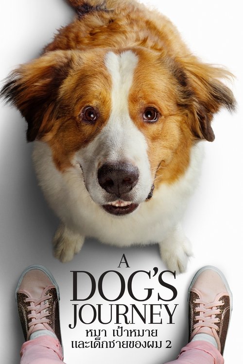A Dog's Journey หมา เป้าหมาย และเด็กชายของผม 2 (2019)
