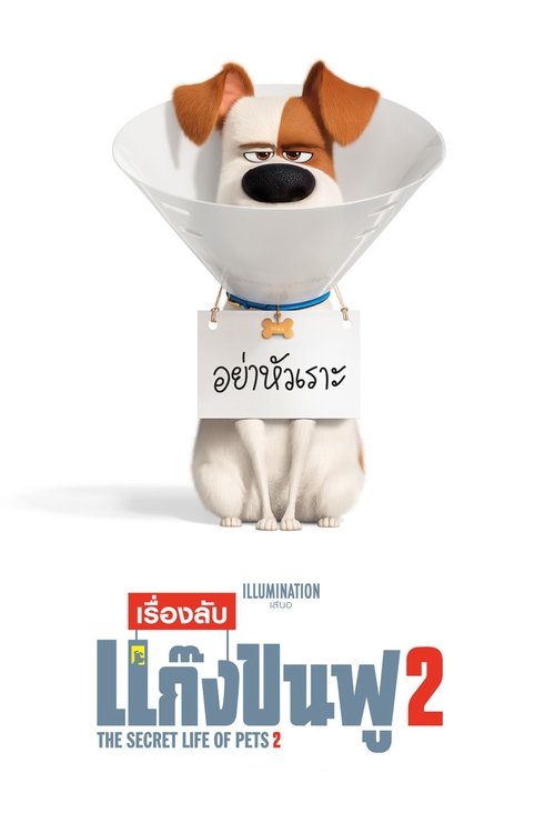 The Secret Life of Pets 2 เรื่องลับแก๊งขนฟู 2 (2019) 3D