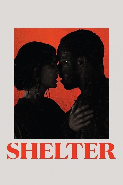 Shelter คืนเหงา เราสอง (2014)