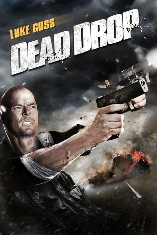 Dead Drop ดิ่งเวหาล่าทวงแค้น