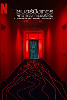 Cyberbunker: The Criminal Underworld ไซเบอร์บังเกอร์: โลกอาชญากรรมใต้ดิน (2023) NETFLIX บรรยายไทย