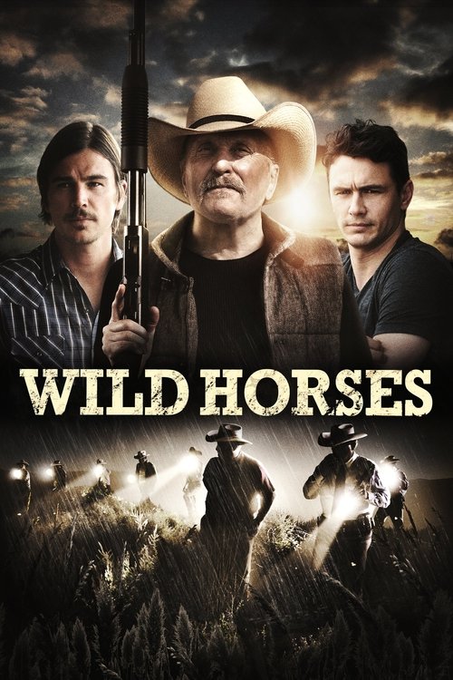 Wild Horses ฟื้นคดีโหดฝังแผ่นดิน (2015) บรรยายไทย