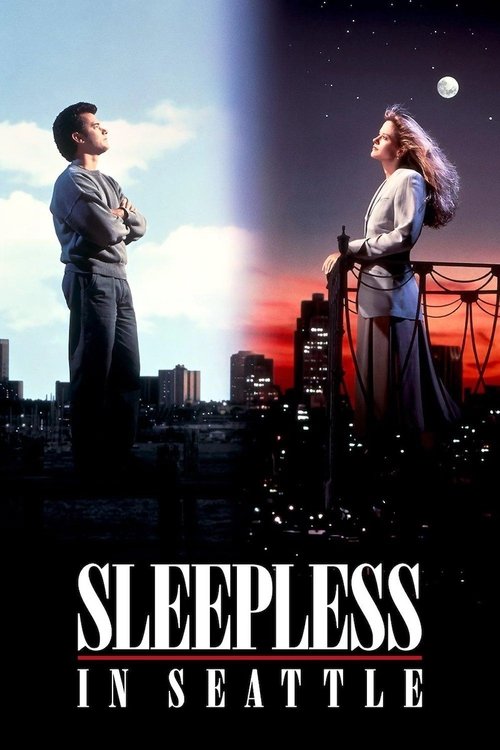 Sleepless in Seattle กระซิบรักไว้บนฟากฟ้า (1993)