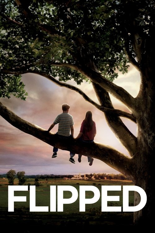 Flipped หวานนักวันรักแรก (2010)