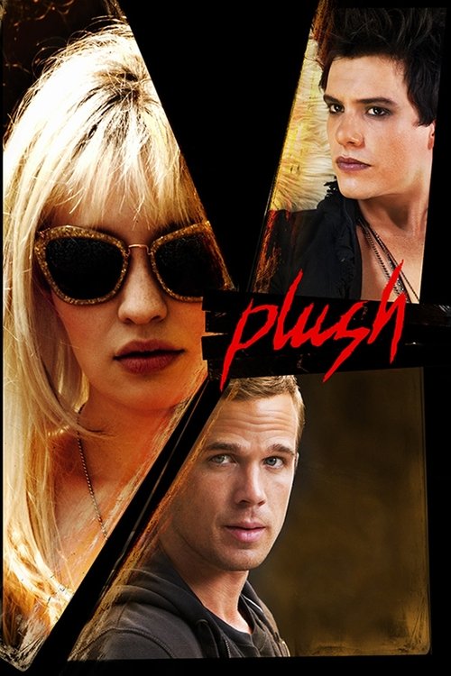 Plush บันทึก(ลับ)ร็อคสตาร์