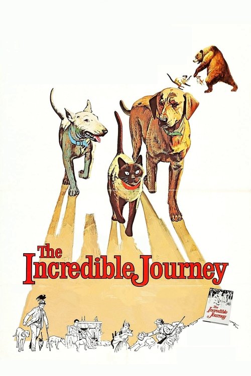 The Incredible Journey (1963) บรรยายไทยแปล