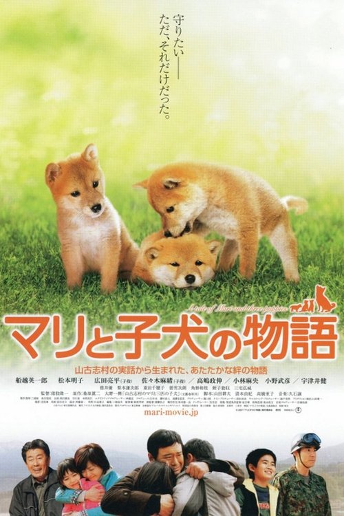 A Tale of Mari and Three Puppies (Mari to koinu no monogatari) เพื่อนซื่อ... ชื่อ มาริ (2007)