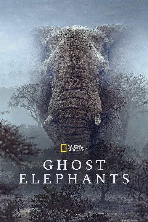 Ghost Elephants (2025) บรรยายไทย