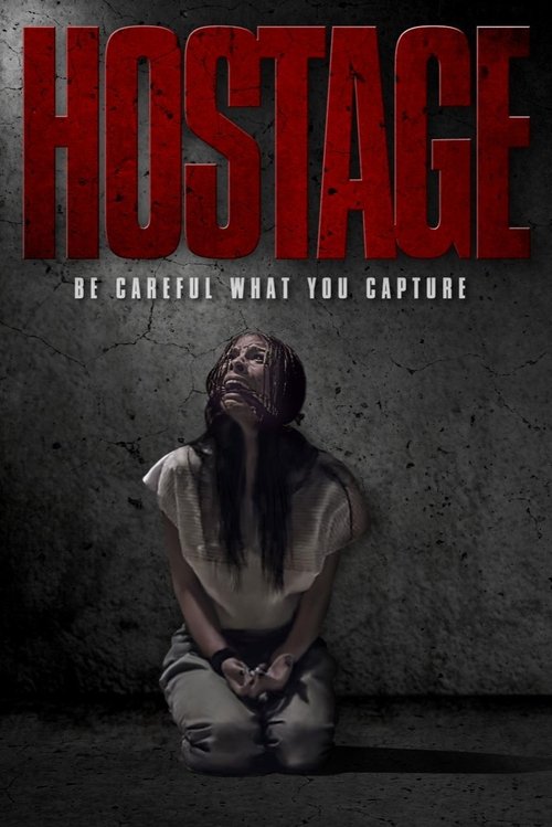 Hostage (2021) บรรยายไทยแปล