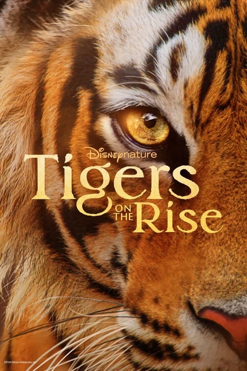 Tigers on the Rise (2024) Disney+ บรรยายไทย