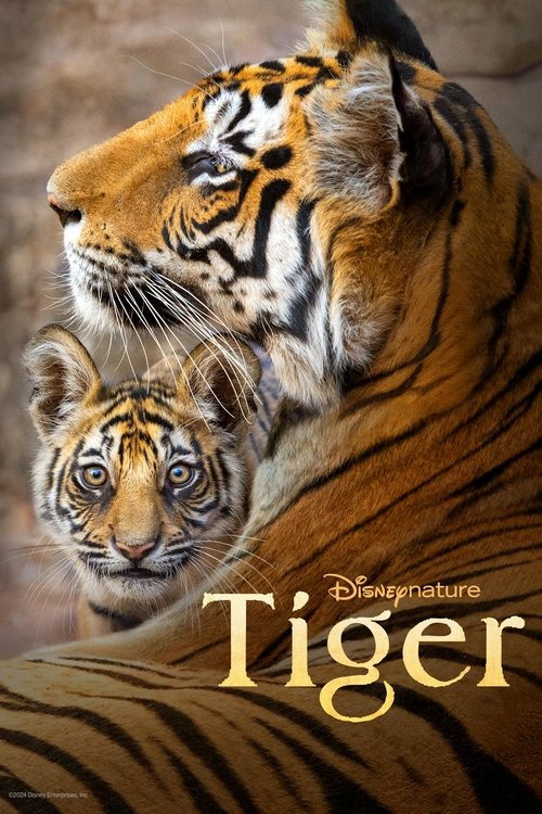 Tiger (2024) Disney+ บรรยายไทย