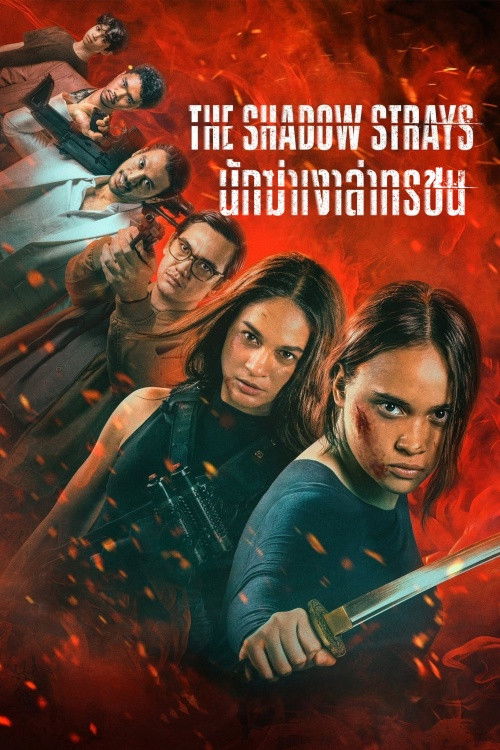 The Shadow Strays นักฆ่าเงาล่าทรชน (2024) NETFLIX