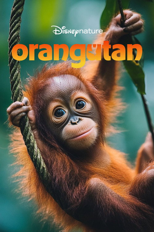 Orangutan (2026) บรรยายไทย