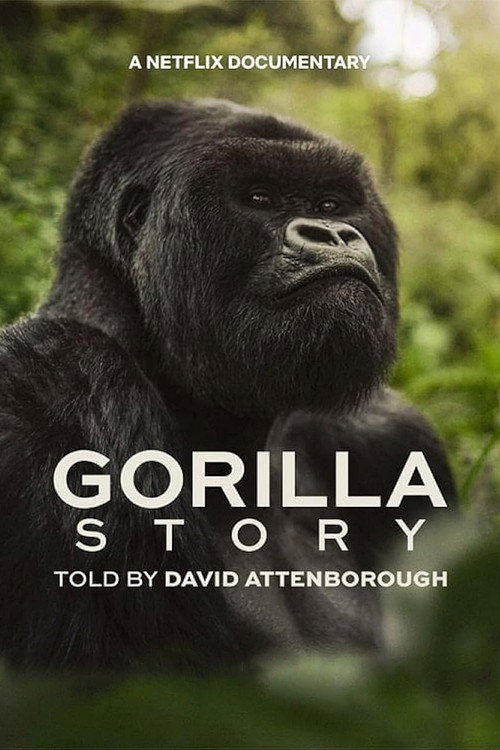 A Gorilla Story: Told by David Attenborough เล่าเรื่องกอริลลา โดยเดวิด แอทเทนเบอเรอห์ (2026)
