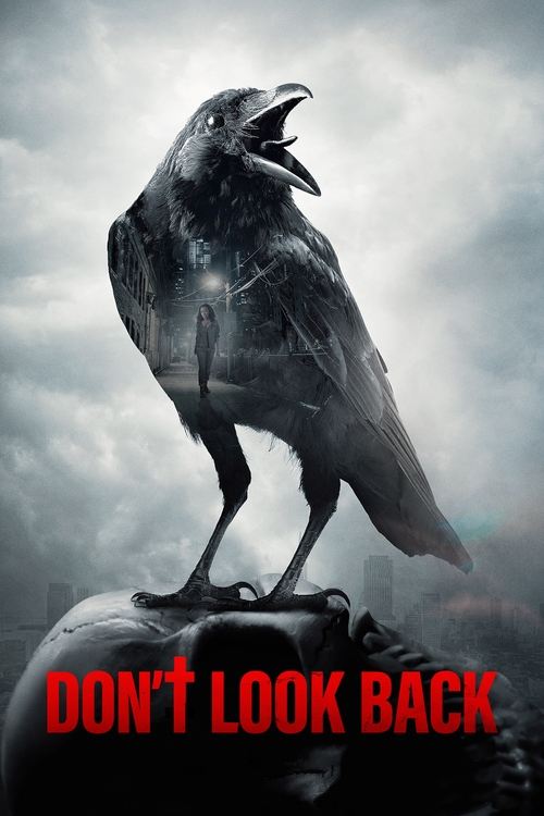 Don't Look Back (2020) HDTV