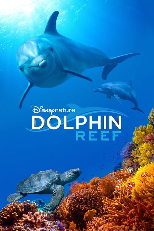 Dolphin Reef (2020) Disney+ บรรยายไทย