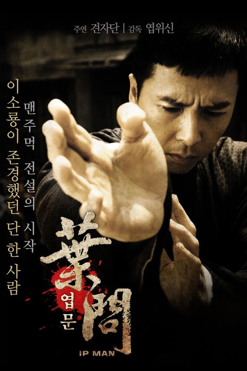 Ip Man ยิปมัน จ้าวกังฟูสู้ยิบตา (2008)