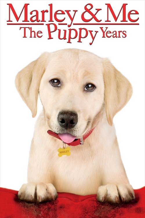 Marley & Me: The Puppy Years จอมป่วนหน้าซื่อ: ผจญภัยวัยแสนซน (2011) บรรยายไทย