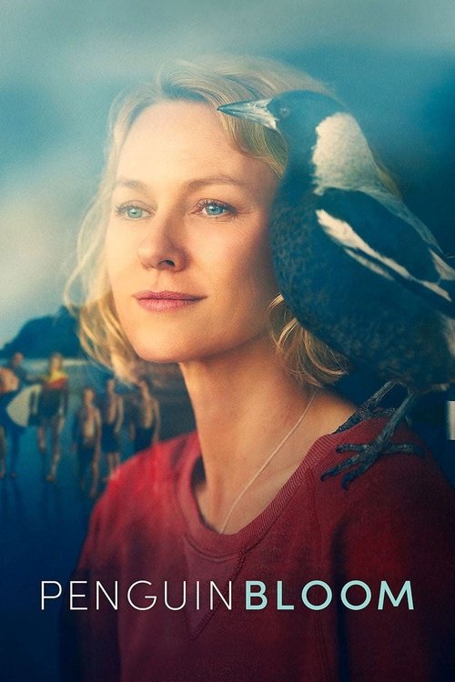 Penguin Bloom เพนกวิน บลูม (2020) NETFLIX บรรยายไทย